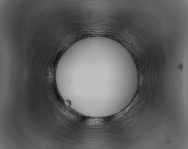 X0000100920179200806241122