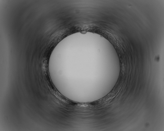 X0000100920181200806241122