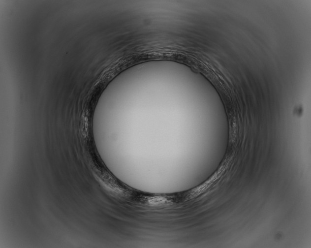 X0000100920183200806241122