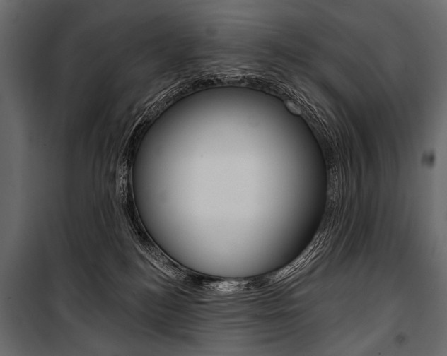 X0000100920184200806241122