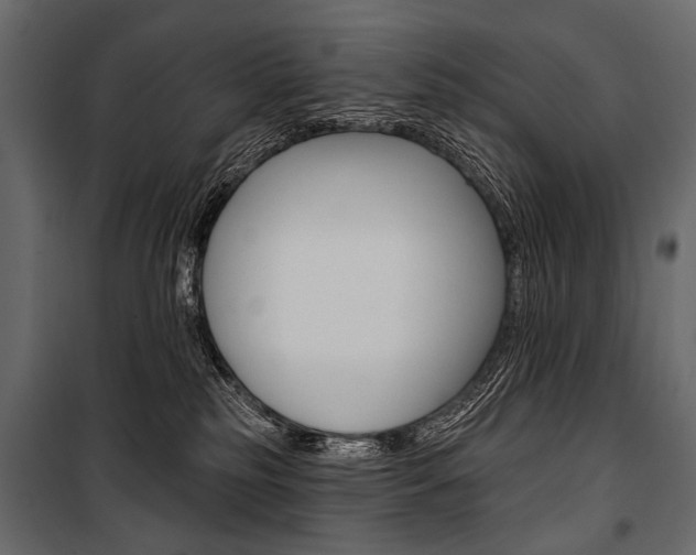 X0000100920185200806241122