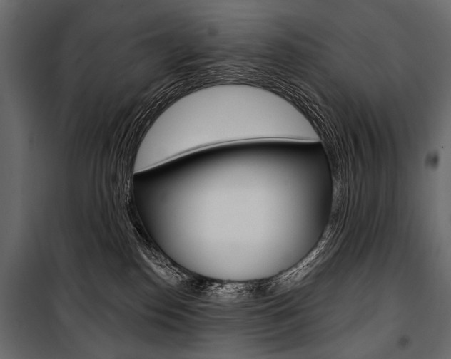 X0000100920186200806241122
