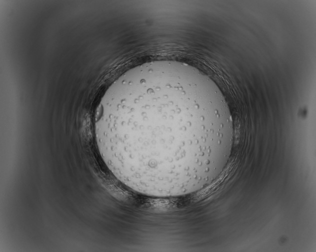 X0000100920187200806241122