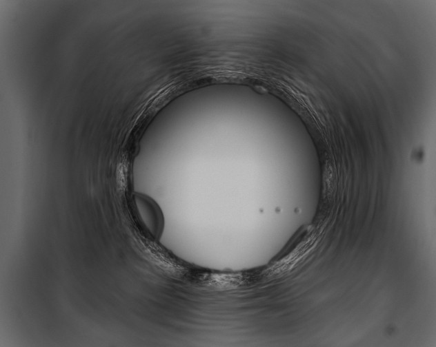 X0000100920188200806241122