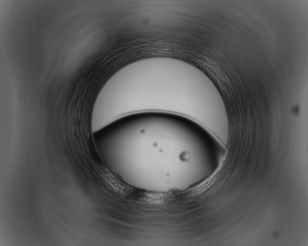 X0000100920190200806241122