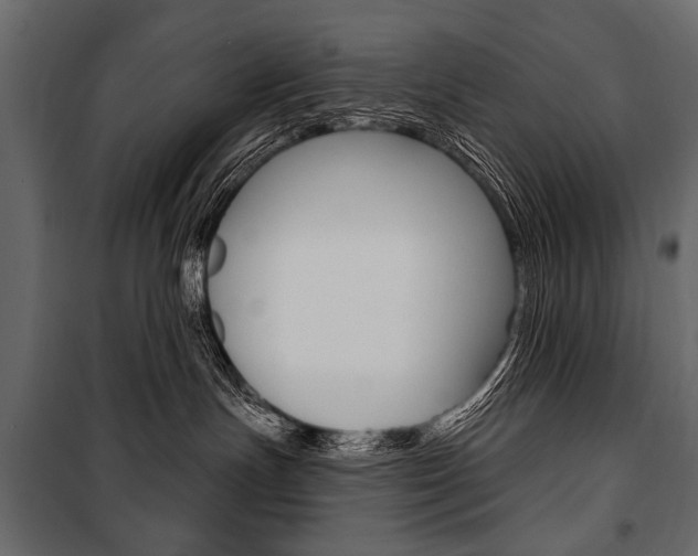 X0000100920191200806241122