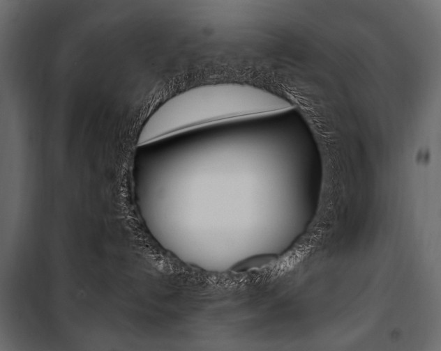 X0000100920192200806241122
