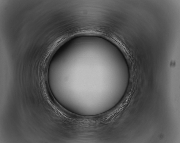 X0000100920193200806241121