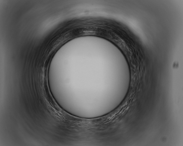 X0000100920194200806241121