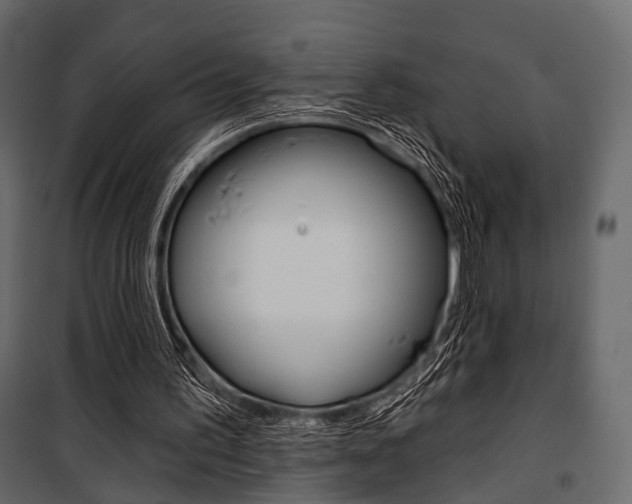 X0000100920195200806241121