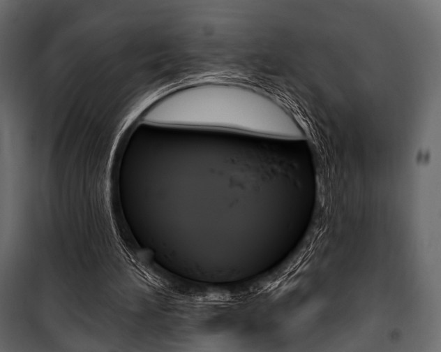 X0000100920196200806241121
