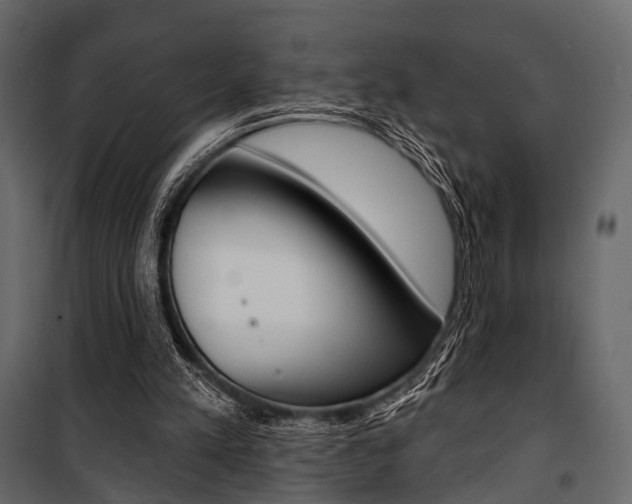 X0000100920197200806241121