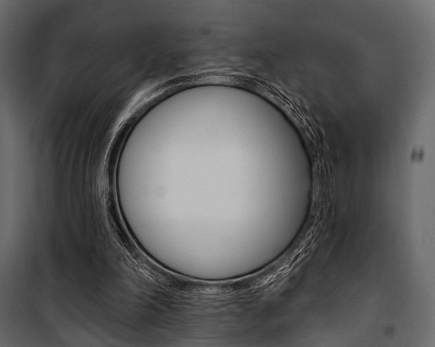 X0000100920198200806241121