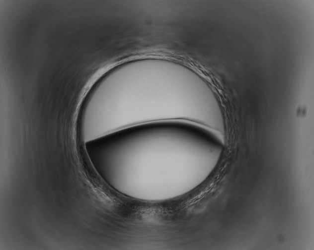 X0000100920200200806241121