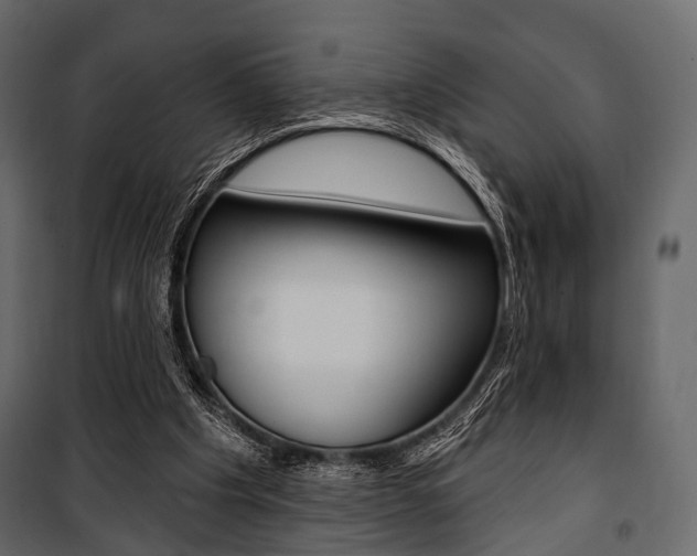 X0000100920201200806241121