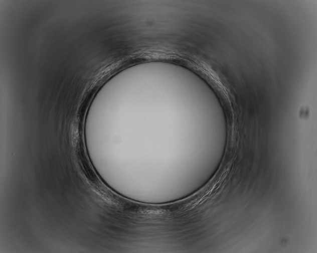 X0000100920202200806241121