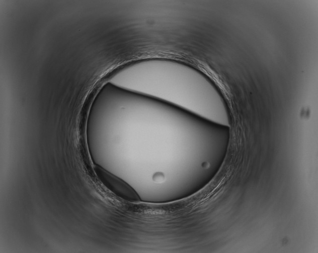 X0000100920203200806241121