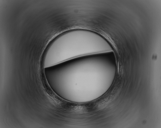 X0000100920204200806241121