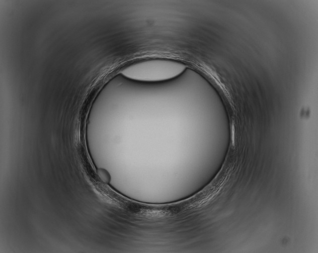 X0000100920205200806241121