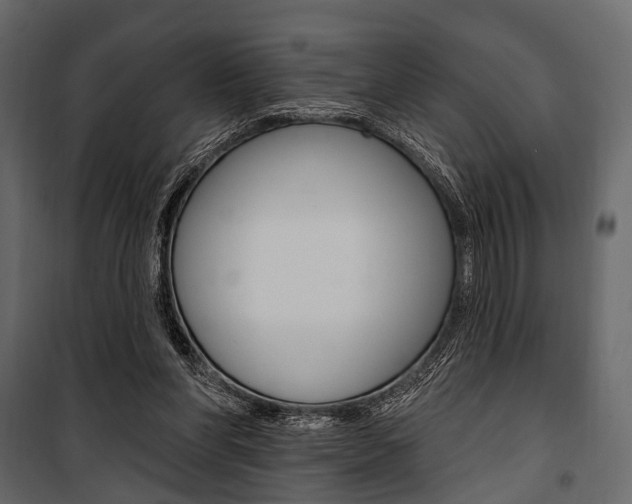 X0000100920206200806241121