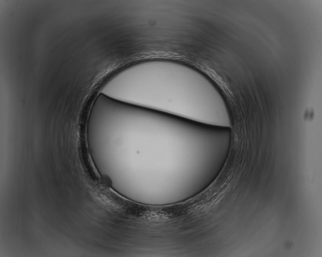 X0000100920207200806241121
