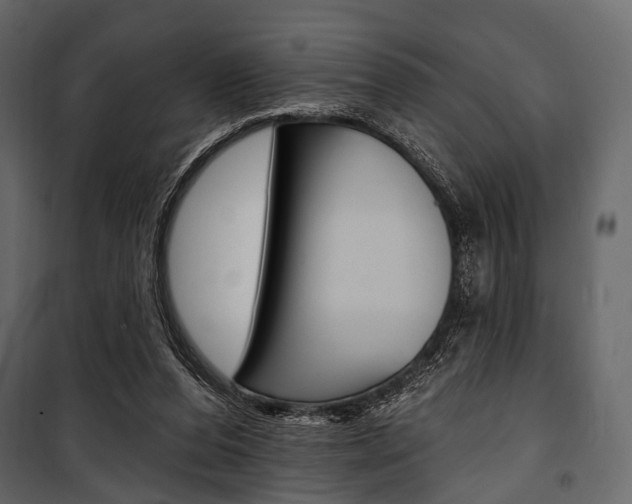 X0000100920208200806241121