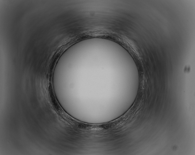 X0000100920210200806241121