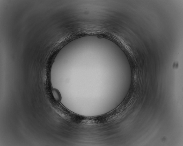 X0000100920211200806241121