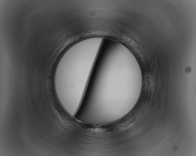 X0000100920212200806241121