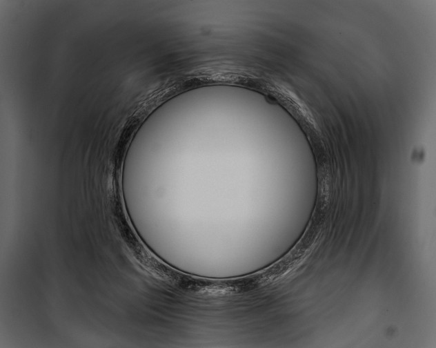 X0000100920213200806241121