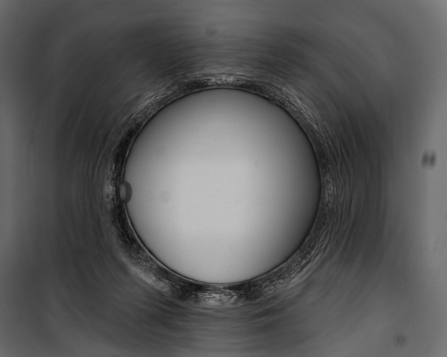X0000100920215200806241121