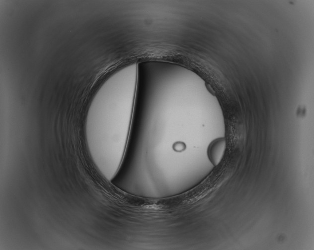 X0000100920216200806241121