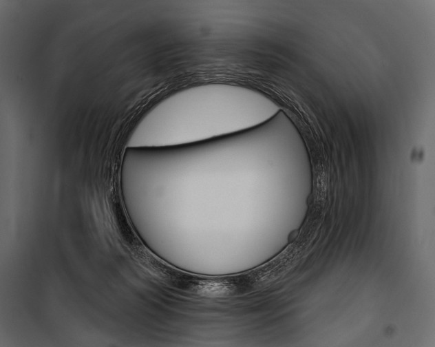 X0000100920218200806241121