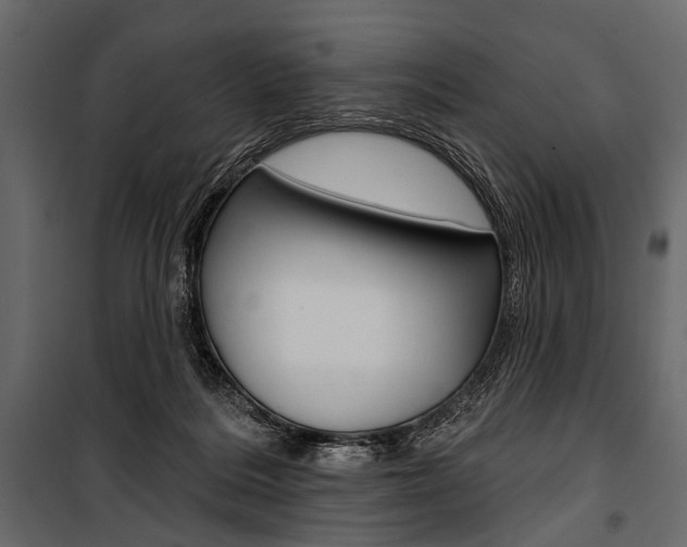 X0000100920220200806241121