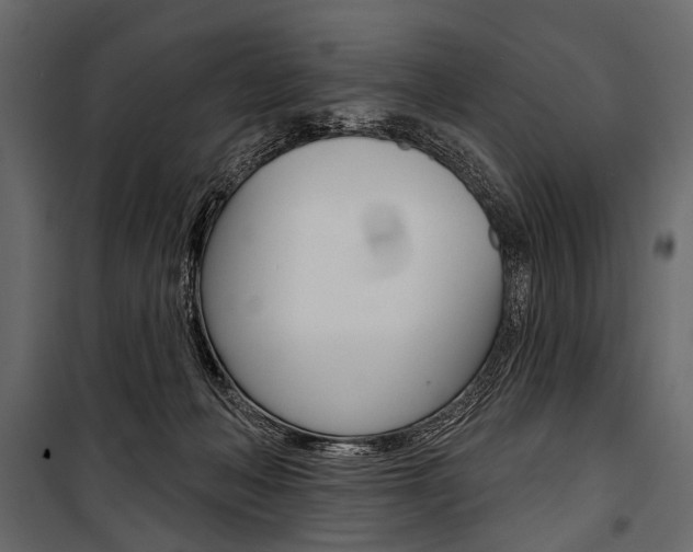 X0000100920222200806241121