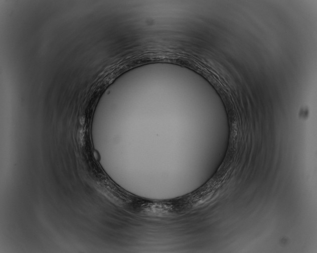 X0000100920223200806241121