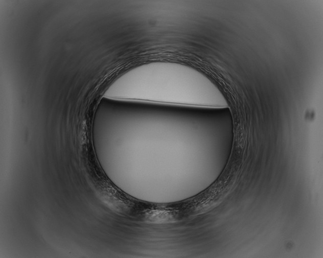 X0000100920224200806241121
