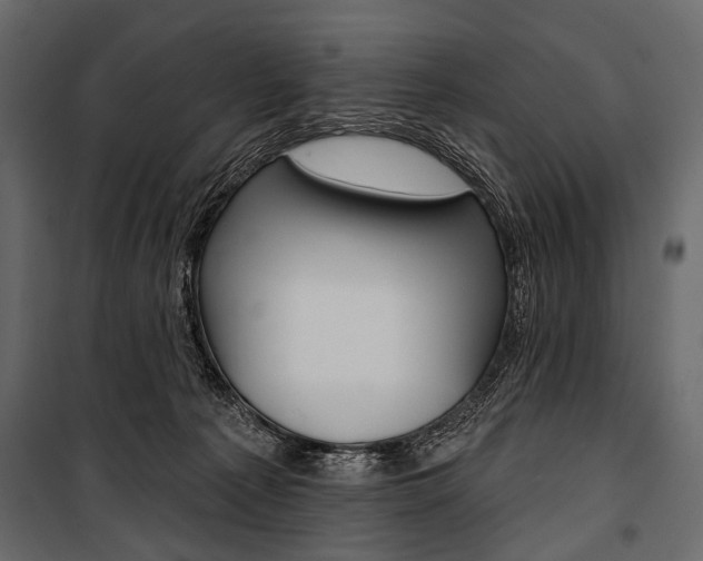X0000100920225200806241121