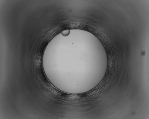 X0000100920226200806241121