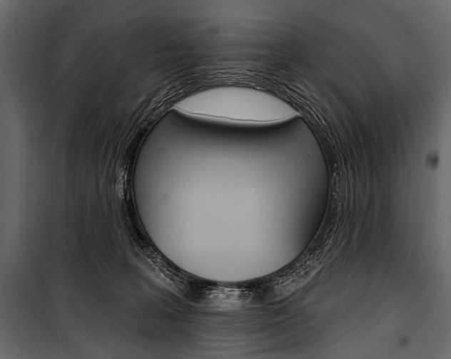 X0000100920227200806241121