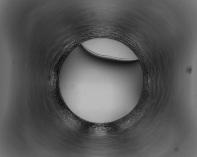 X0000100920228200806241121