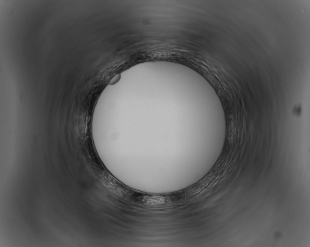 X0000100920230200806241121