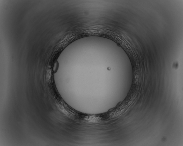 X0000100920231200806241121