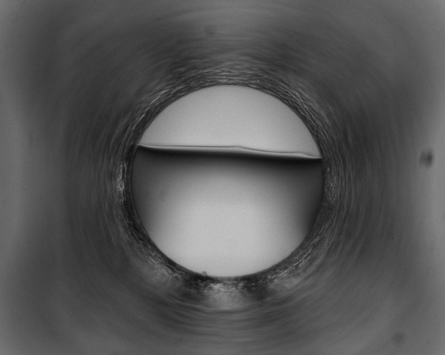 X0000100920232200806241121