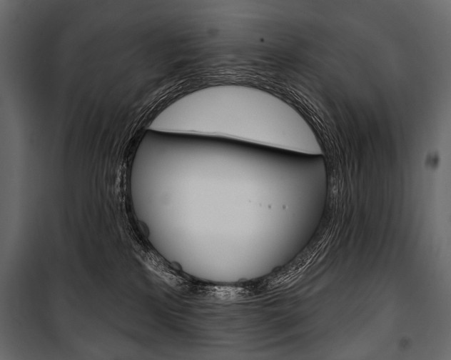 X0000100920233200806241121
