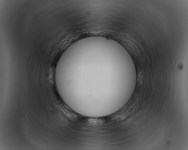 X0000100920234200806241121