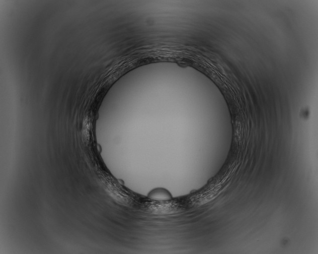 X0000100920235200806241121