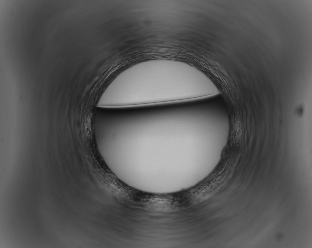 X0000100920236200806241121