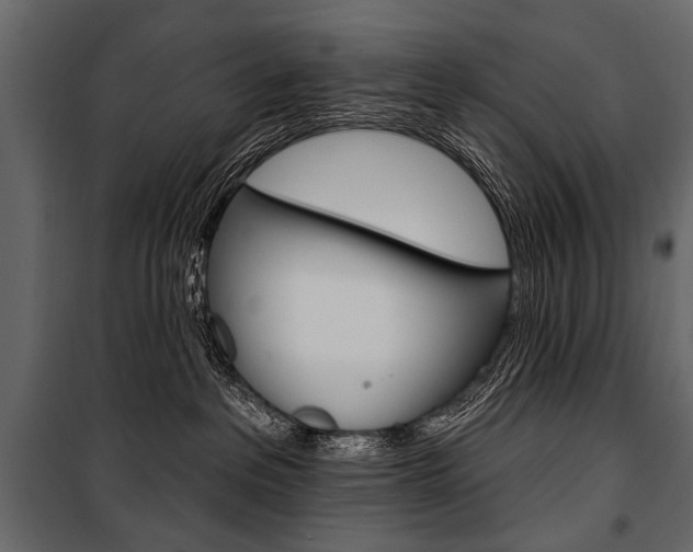 X0000100920237200806241121