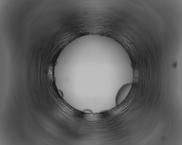 X0000100920238200806241121